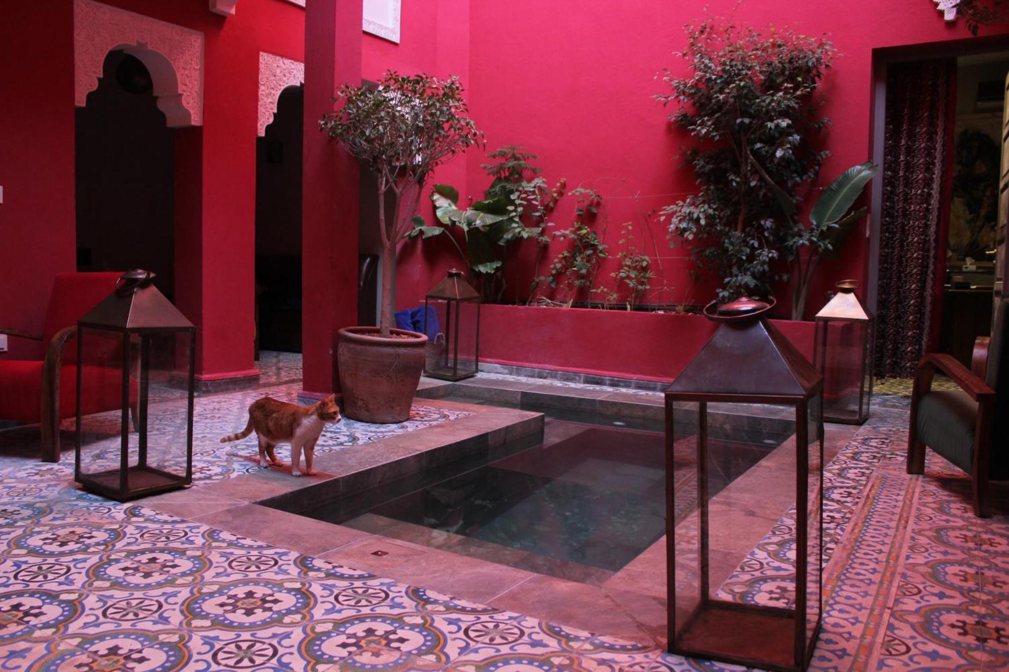 Riad Hilmuna Hammam Et Spa مراكش المظهر الخارجي الصورة