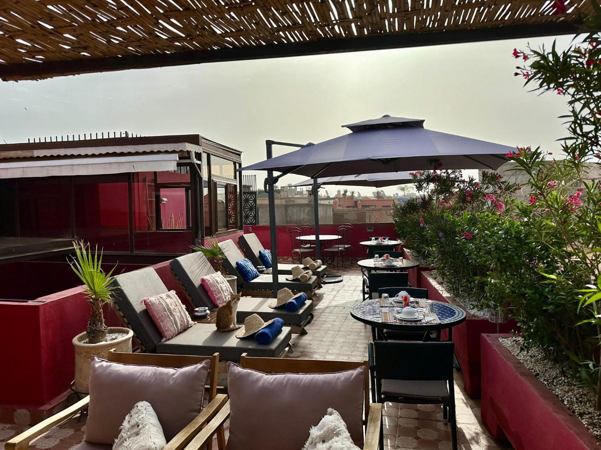 Riad Hilmuna Hammam Et Spa مراكش المظهر الخارجي الصورة